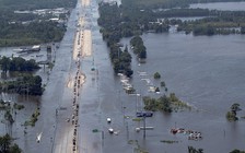 Mỹ phun hóa chất diệt muỗi gây tranh cãi sau bão Harvey