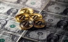 Nhiều sinh viên Mỹ vay tiền học để kinh doanh tiền ảo