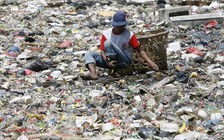 Phát hiện vi khuẩn mới có thể 'ăn' rác thải nhựa