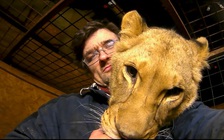 Nuôi sư tử, bị sư tử vồ chết