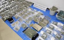 Báo động tình trạng dùng cần sa ở giới trẻ Nhật