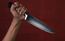 Cưỡng hiếp phụ nữ Việt, thanh niên Singapore bị án tù, phạt roi