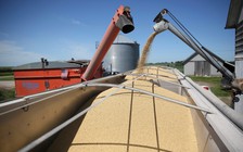 600 công ty Mỹ kiến nghị Tổng thống Trump không tăng thuế lên hàng Trung Quốc