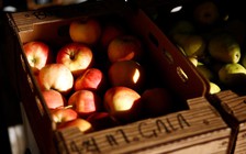 Ấn Độ áp thuế trả đũa đối với 28 mặt hàng của Mỹ