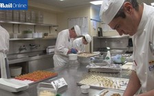 Nữ hoàng Anh ‘khiếp đảm’ vì chuột hoành hành Điện Buckingham