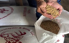 Tổng thống Trump nói có thêm 300 tỉ USD hàng hóa Trung Quốc bị đánh thuế từ tháng 9