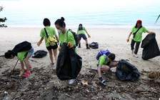 Giới trẻ Singapore lo ngại tác động của biến đổi khí hậu