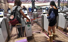 Mua vé máy bay để tiễn vợ tận khu vực cách ly, đối diện 2 năm tù