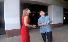 Hài hước bồ câu 'thả bom phủ đầu' chính trị gia