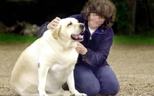 Nói 'chủ nào, chó nấy' là có lý do?