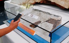 Treo thưởng hơn 6 tỉ đồng cho thông tin về chuyến bay MH370