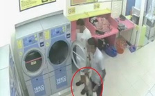 Giết mèo đang mang thai bằng máy sấy, bị xử 34 tháng tù