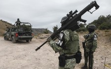 Mexico bắt nhiều nghi phạm vụ thảm sát 9 người Mỹ