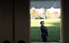 Vì đàn chim bay mà Nhà Trắng bị phong tỏa?