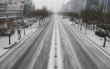 Virus Corona có tác động tích cực gì tại Trung Quốc?