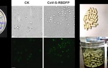 Trung Quốc tuyên bố sản xuất thành công vắc xin uống ngừa virus Corona