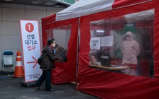 Covid-19: nhiều ca hồi phục tại Hàn Quốc, Trung Quốc có 1 ca nhiễm nội địa