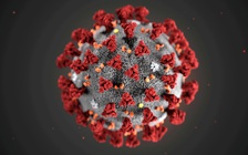 Virus Corona chủng mới có thể âm thầm lây nhiễm suốt nhiều năm qua