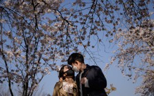 Covid-19: ca nhiễm mới giảm tại Hàn Quốc, tăng tại Trung Quốc