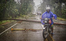 Philippines sơ tán hàng trăm ngàn người tránh bão Vongfong