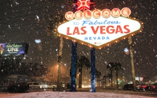 Lừa đảo hàng triệu USD tiền hỗ trợ Covid-19 để… đánh bạc