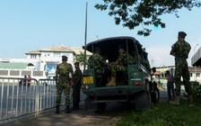 Chú mèo ‘buôn lậu ma túy’ đã vượt ngục tại Sri Lanka