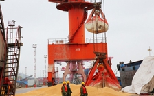 Tiến triển bất ngờ trong đàm phán thương mại Mỹ - Trung