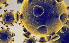 Một bệnh nhân tái nhiễm Covid-19, lần sau nặng hơn lần trước