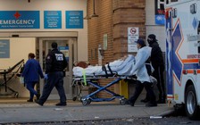 Bác sĩ, y tá Mỹ kêu gọi Tổng thống Trump chia sẻ thông tin Covid-19 với ông Biden