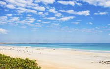 Cá mập cắn chết người đi bơi tại bãi biển xinh đẹp ở Úc