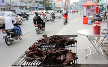 Lời kêu gọi sau phát hiện lò mổ chó 'tồi tệ nhất Đông Nam Á'