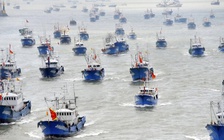 Báo cáo: hoạt động bành trướng của Trung Quốc đe dọa hệ sinh thái ở Biển Đông