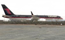 Số phận thăng trầm ‘viên ngọc quý’ của ông Trump