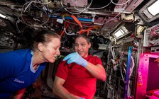 Vấn đề tình dục trên vũ trụ được giải quyết như thế nào?