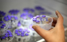 Việt Nam sẽ nhận 31 triệu liều vắc xin của Pfizer/BioNTech trong năm nay