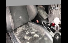 Lái xe hơi mốc meo, tài xế suýt mất mạng