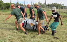 Kinh hoàng nhân viên sở thú bị hổ Siberia vồ chết ngay trước mắt đồng nghiệp