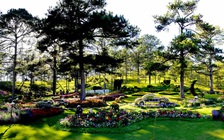 Festival Hoa Đà Lạt lần thứ VI: Độc đáo những loài hoa mới