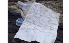 Truy tìm tung tích tác giả 'thông điệp 28 năm'