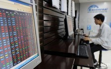 Nhiều cổ phiếu bị bán tháo, chứng khoán rơi thẳng đứng