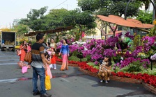 Cấm xe để vận hành đường hoa Nguyễn Huệ từ 5.2