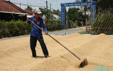 Xuất khẩu nhiều mặt hàng nông sản tăng