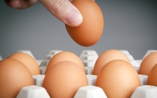 Ăn gì tốt cho thai nhi?