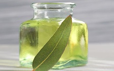 5 loại tinh dầu giúp ích cho người mắc bệnh hô hấp