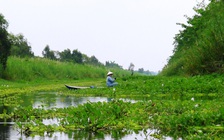 Cuối tuần câu cá U Minh Thượng: Phiêu diêu giữa cõi bồng lai