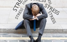 Lý lẽ của Stress