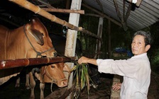 Bí quyết làm giàu: Biến đất hoang thành vàng