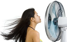 Giải nhiệt với quạt hơi nước, phun sương