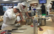 Việt Nam đứng thứ 2 ASEAN về số du học sinh tại New Zealand