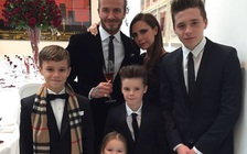 Danh thủ David Beckham muốn vợ sinh con thứ năm